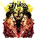 Song Son of Tribe by Tribe on Rebirth at Amazon