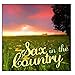 Song Green Green Grass Of Home by Ace Cannon on Sax in the Country at Amazon