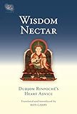 Wisdom Nectar Dudjom Rinpoches Heart Advice Tsadra Book 5 English Edition
