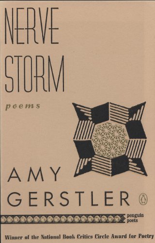 Nerve Storm book cover