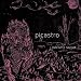 Song A Neck on the Desert by Picastro on Become Secret at Amazon