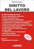 Diritto Del Lavoro 100 Pagine Italian Edition