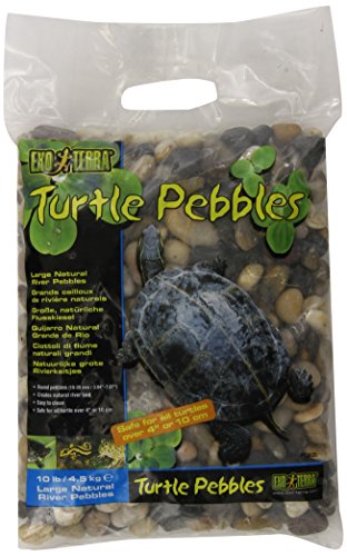 Exo Terra Large Turtle Pebbles Natural River Pebbles A gorgeous and efficient way to prevent