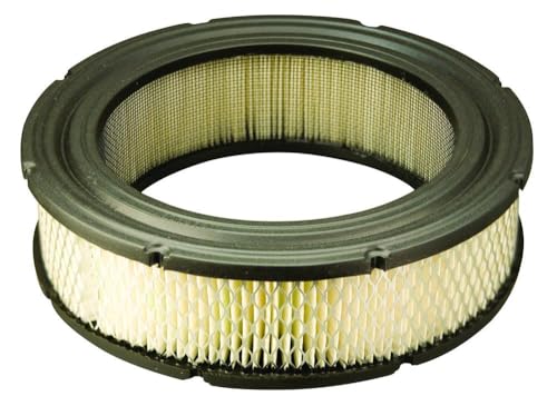 Briggs & Stratton Cartouche de Filtre à air Vanguard V-Twin 692519
