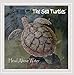 Song Nunyo Bizniz by The Sea Turtles on Head Above Water at Amazon