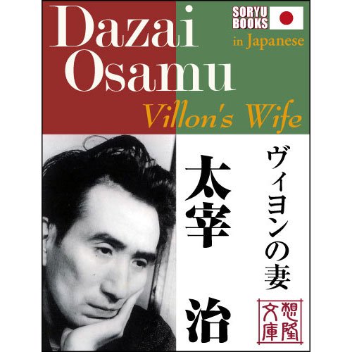Villon's Wife book cover