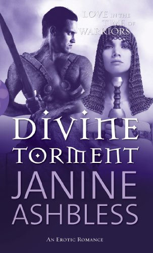 Divine Torment book cover