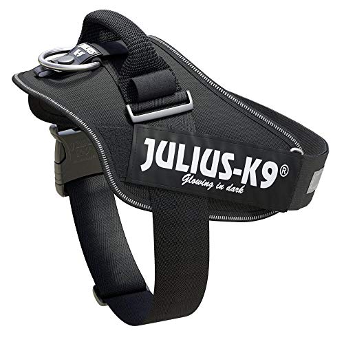 Julius-K9 IDC Powerharness, Size 1, Black