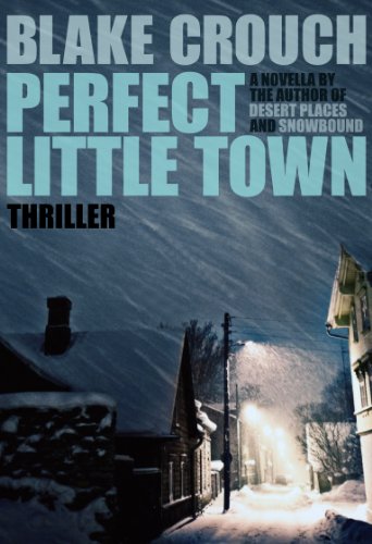 Perfect Little Town book cover