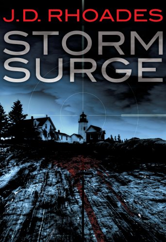 Storm Surge book cover