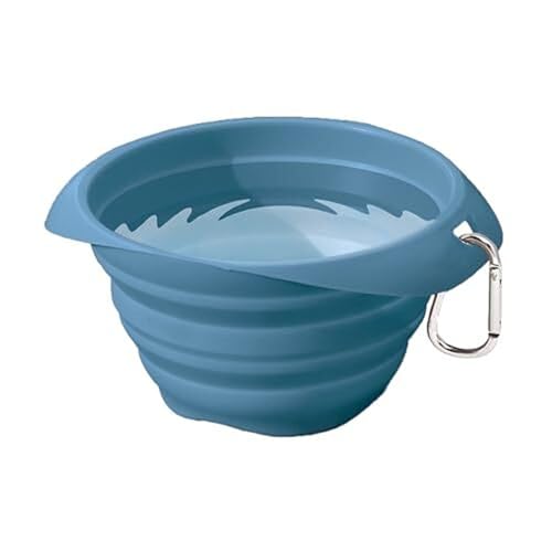 Best Collapsible Travel Bowls for Dogs in 2026