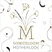 Song Summertime by Sonicbloom on Motherlode at Amazon