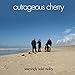Song I Like It by Outrageous Cherry on Seemingly Solid Reality at Amazon
