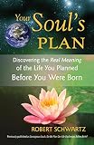 Your Souls Plan Discovering The Real Meaning Of The Life You Planned Before You Were Born English Edition
