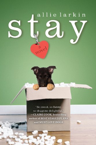 Stay (As: Allie Larkin) cover