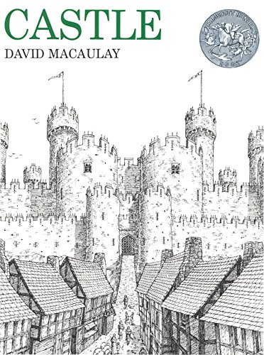 Castle book cover