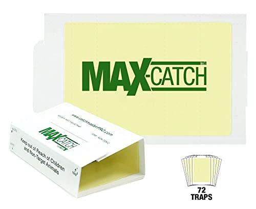 Catchmaster Max-Catch Mouse & Insect Glue Trap 72pk, Mouse Traps Indoor for Home, Sticky Pest Control Adhesive Tray for Catching Bugs, Bulk Classic Glue Boards