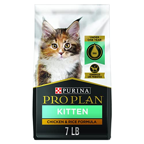Purina Pro Plan High Protein Dry Kitten Food Chicken Rice 7 lb