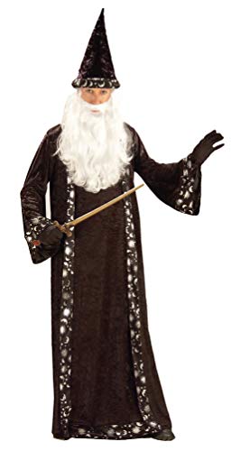 Rubies Mr. Wizard Costume for Adults, Men's Standard