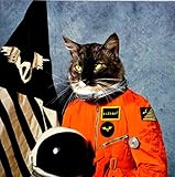 Surfing the Void