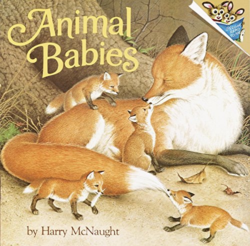 Animal Babies (By: Harry McNaught) cover