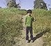 Song Runner by Brad Laner on Natural Selections at Amazon