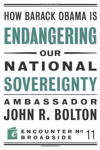 How Barack Obama Is Endangering Our National Sovereignty book cover