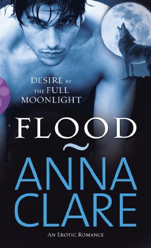 Flood book cover