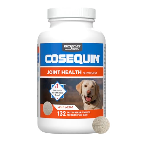 Best Dog Joint Supplements for Mobility and Hip Health