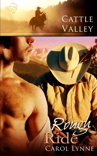 Rough Ride book cover