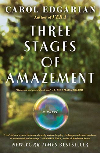 Three Stages of Amazement book cover