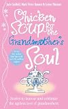 Chicken Soup For The Grandmothers Soul English Edition