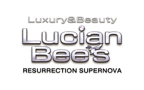 PSPのアドベンチャー・ゲーム人気投票 ~ プレイステーション・ポータブルADVランキング　210位　Lucian Bee’s RESURRECTION SUPERNOVAの画像