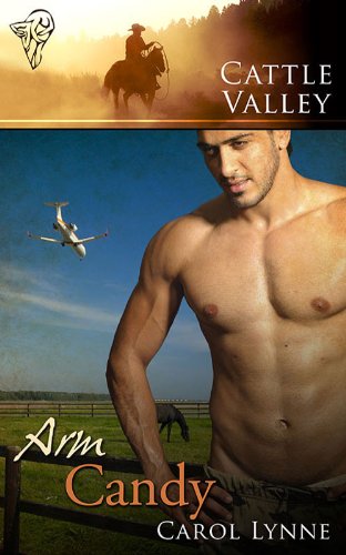 Arm Candy book cover