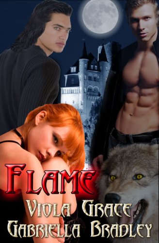 Flame book cover
