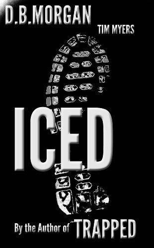 Iced book cover