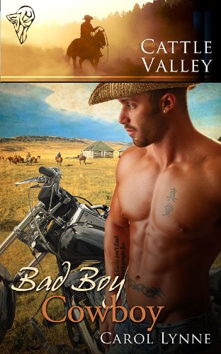 Bad Boy Cowboy book cover