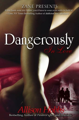Dangerously in Love book cover