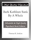 Bark Kathleen Sunk By A Whale