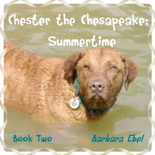 Summertime book cover