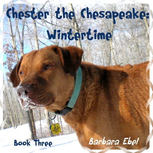 Wintertime book cover