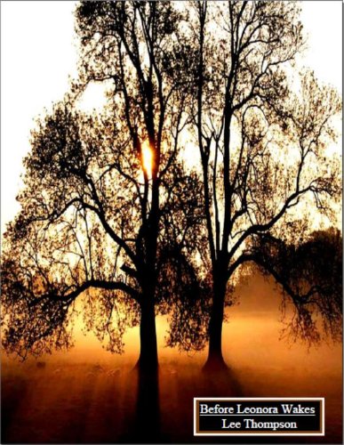 Before Leonora Wakes cover