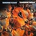 Song Underwater Sunlight by Tangerine Dream on Tangines Scales at Amazon