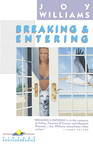 Breaking and Entering book cover