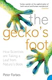 The Geckos Foot How Scientists Are Taking A Leaf From Natures Book English Edition