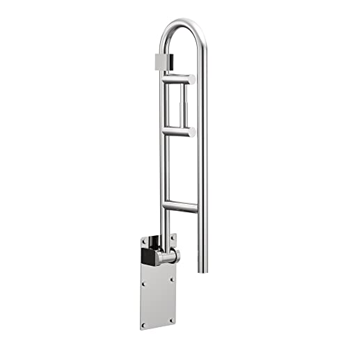 Moen Home Care 30-Inch Flip-Up Grab Bar with Toilet Paper Holder