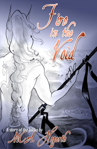 Fire in the Void book cover
