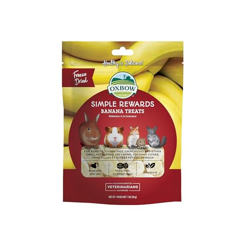Oxbow Simple Rewards Freeze Dried Banana Treats for Rabbits, Guinea Pigs, Chinchillas, and Small Pets