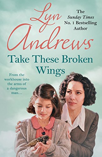 Take these Broken Wings book cover