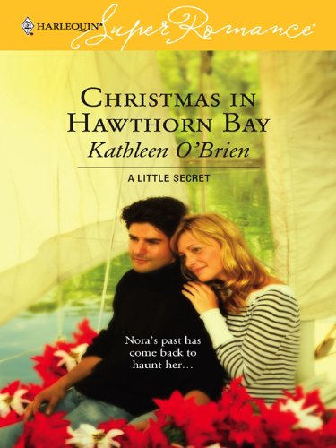 Christmas in Hawthorn Bay book cover